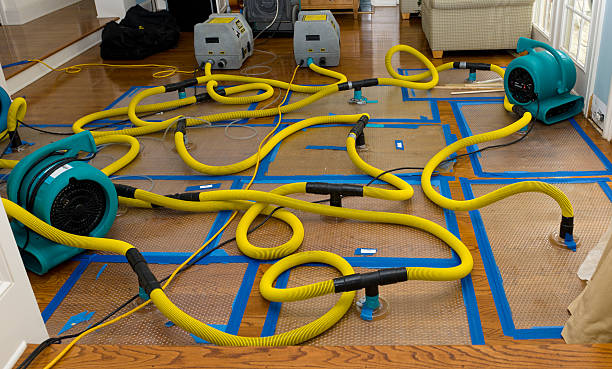 Professional Flood Damage Restoration technician working in Robertsdale, AL